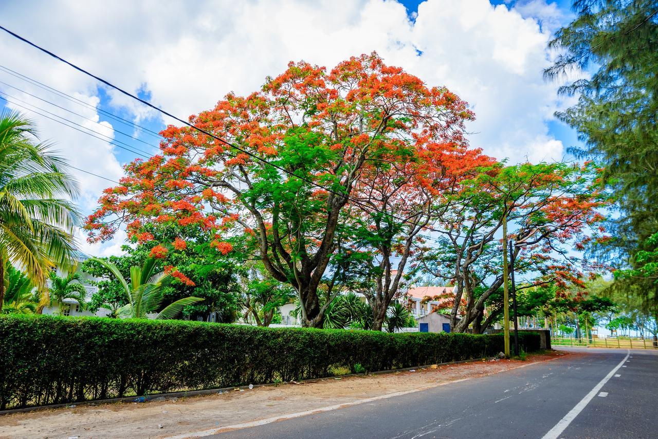 Filles Des Iles Villa Mont-Choisy Luaran gambar